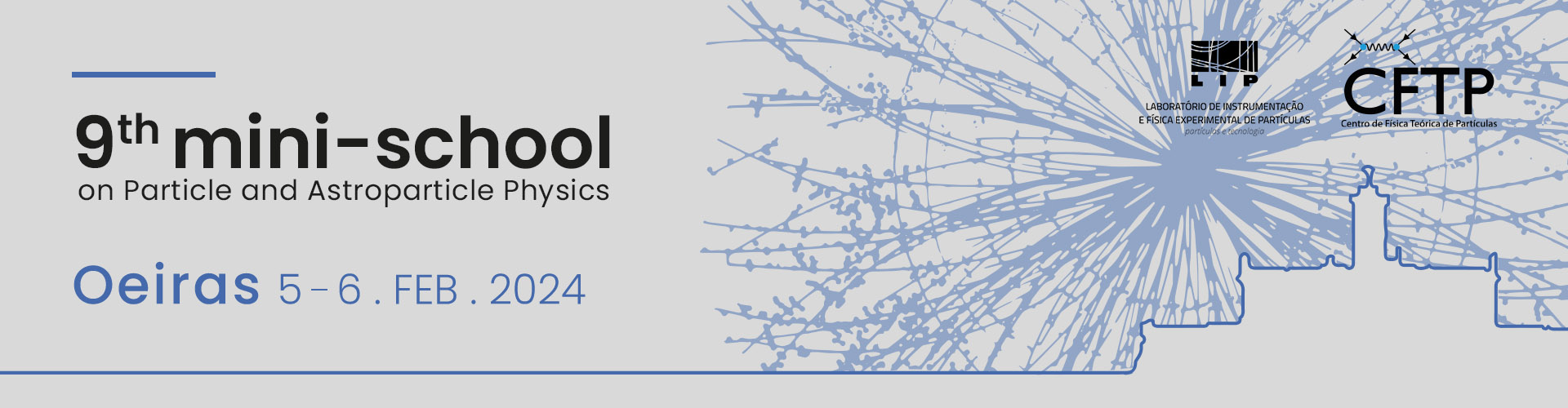 9th Mini-school on Particle and Astroparticle Physics