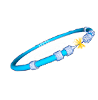 IDPASC AC/SAC Meeting